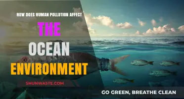 Human Pollution's Devastating Impact on Ocean Ecosystems and Marine Life