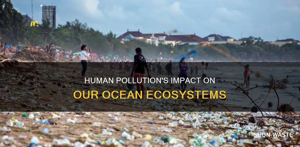 how does human pollution affect the ocean