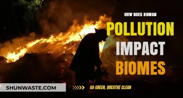 Human Pollution: Devastating Effects on Biomes
