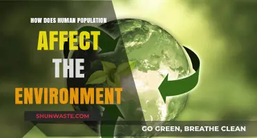 Human Population Growth: Environmental Impacts and Sustainable Solutions Explored