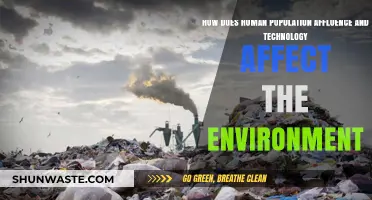 Human Impact: Population, Affluence, and Tech's Environmental Consequences