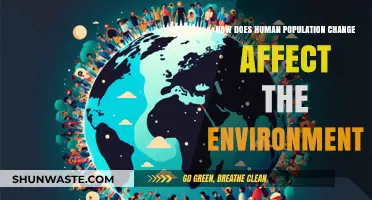 Human Population Growth: Environmental Impacts and Sustainable Solutions Explored