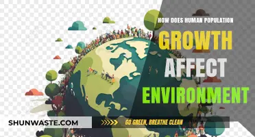 Human Population Growth: Environmental Impacts and Sustainable Solutions