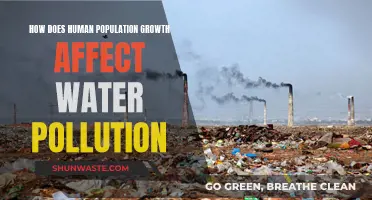 Human Population Boom: Water Pollution's Bane