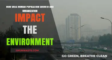 Urbanization's Environmental Toll: Population Growth and Habitat Loss Explained