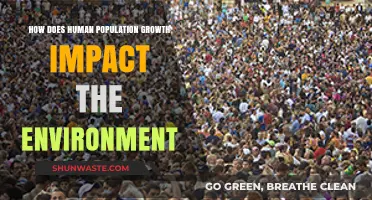 Human Population Growth: Environmental Consequences and Sustainable Solutions
