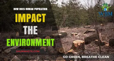 Human Population Growth: Environmental Consequences and Sustainable Solutions