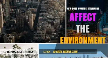 Human Settlements and Their Environmental Impact: A Comprehensive Analysis