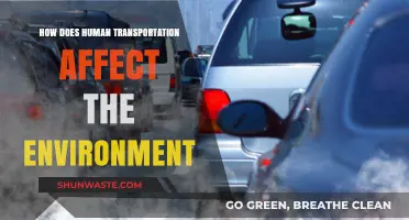 Human Transportation's Environmental Impact: Challenges and Sustainable Solutions