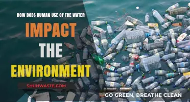 Human Water Use: Environmental Impacts and Sustainable Solutions Explored