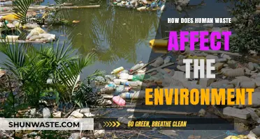 Human Waste's Environmental Impact: Pollution, Health Risks, and Solutions