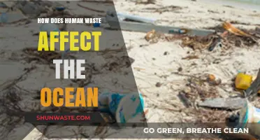 Human Waste in Oceans: Devastating Impacts and Urgent Solutions Needed