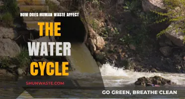 Human Waste's Impact on the Water Cycle: A Critical Analysis