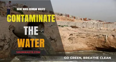 Human Waste's Impact: How Sewage Contaminates Our Water Sources