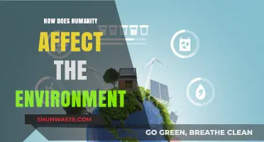 Human Impact on Nature: Exploring Our Environmental Footprint and Consequences