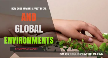 Human Impact: Shaping Local and Global Environments, Consequences and Solutions