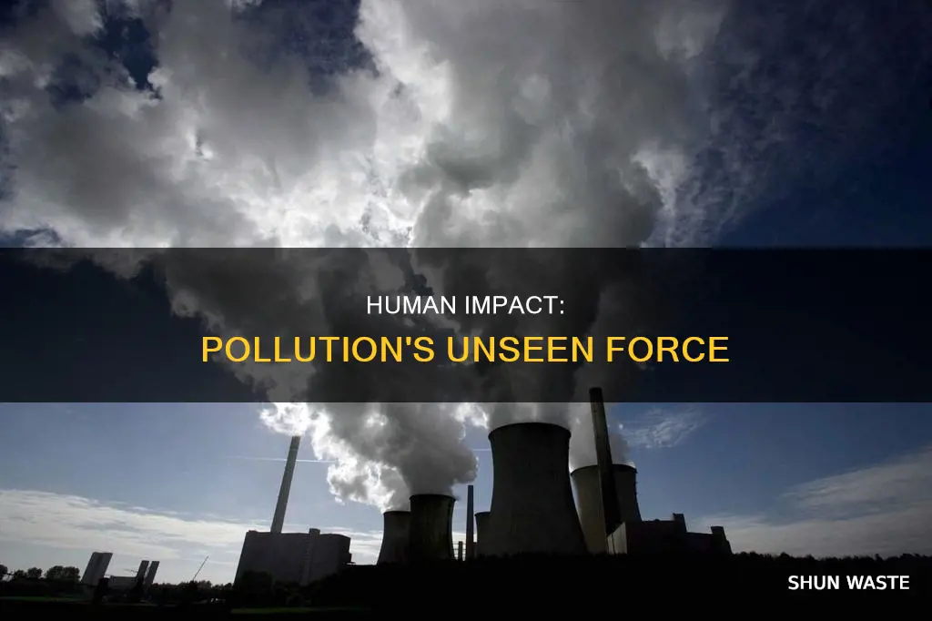 how does humans affect pollution articles