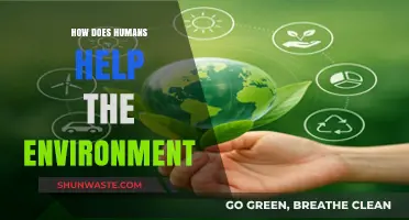 Sustainable Actions: How Humans Positively Impact and Protect Our Environment