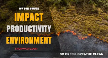 Human Actions and Their Impact on Environmental Productivity