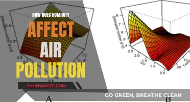 Humidity's Impact: Air Pollution Intensification and Mitigation