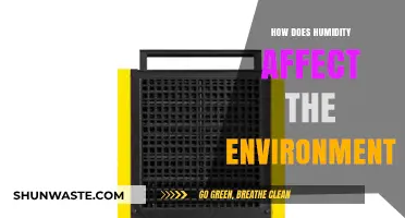Humidity's Impact: Shaping Ecosystems, Climate, and Environmental Balance Explained