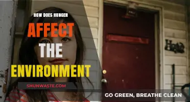 Hunger's Hidden Impact: Exploring the Environmental Consequences of Food Insecurity