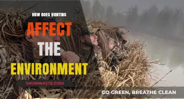Hunting's Environmental Impact: Balancing Conservation and Ecosystem Health