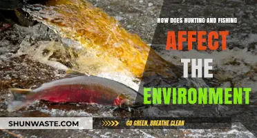 Hunting and Fishing's Environmental Impact: Balancing Conservation and Sustainability