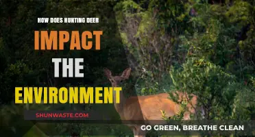 Deer Hunting's Ecological Impact: Balancing Conservation and Environmental Consequences