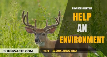 Hunting's Role in Balancing Ecosystems and Preserving Biodiversity