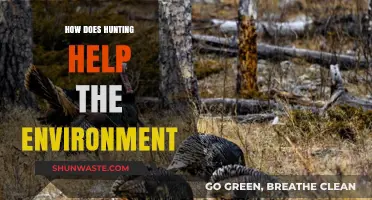 Sustainable Hunting Practices: Balancing Wildlife Conservation and Ecosystem Health