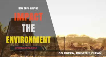 Hunting's Environmental Impact: Balancing Conservation and Ecosystem Health
