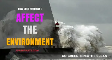 Hurricanes' Environmental Impact: Destruction, Ecosystem Changes, and Long-Term Effects