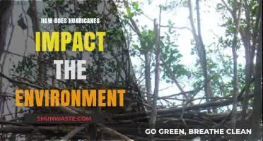 Hurricanes' Environmental Impact: Destruction, Ecosystem Changes, and Long-Term Effects