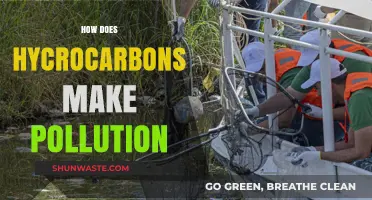 Hydrocarbons' Harmful Impact: Understanding Pollution Sources