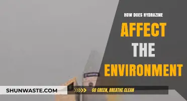 Hydrazine's Environmental Impact: Pollution, Ecosystem Disruption, and Toxic Legacy