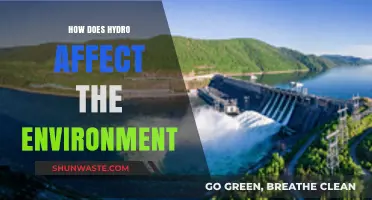 Hydro Power's Environmental Impact: Benefits, Challenges, and Sustainability