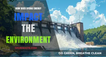 Hydro Energy's Environmental Impact: Benefits, Challenges, and Sustainability