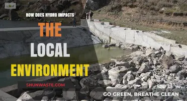Hydro's Environmental Impact: Local Ecosystems, Wildlife, and Habitat Changes