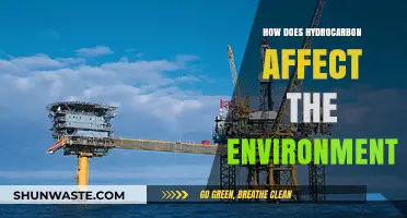 Hydrocarbon's Environmental Impact: Pollution, Climate Change, and Ecosystem Disruption Explained