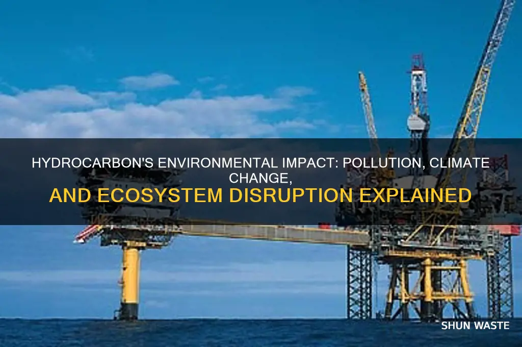 how does hydrocarbon affect the environment