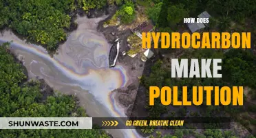 Hydrocarbons' Harmful Impact: Understanding Pollution Sources