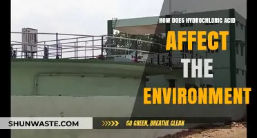 Hydrochloric Acid's Environmental Impact: Effects, Risks, and Mitigation Strategies