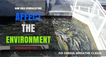 Hydroelectric Power's Environmental Impact: Benefits, Drawbacks, and Sustainability