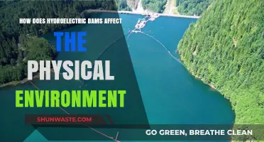 Hydroelectric Dams: Environmental Impacts on Ecosystems and Landscapes