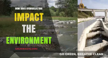 Hydroelectric Power: Environmental Impacts and Sustainability Challenges Explored