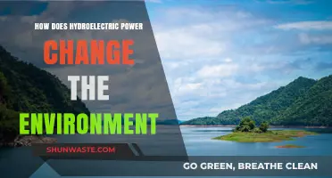 Hydroelectric Power's Environmental Impact: Changes, Challenges, and Sustainability