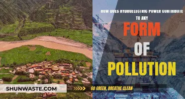Hydroelectric Power: Pollution or Clean Energy?