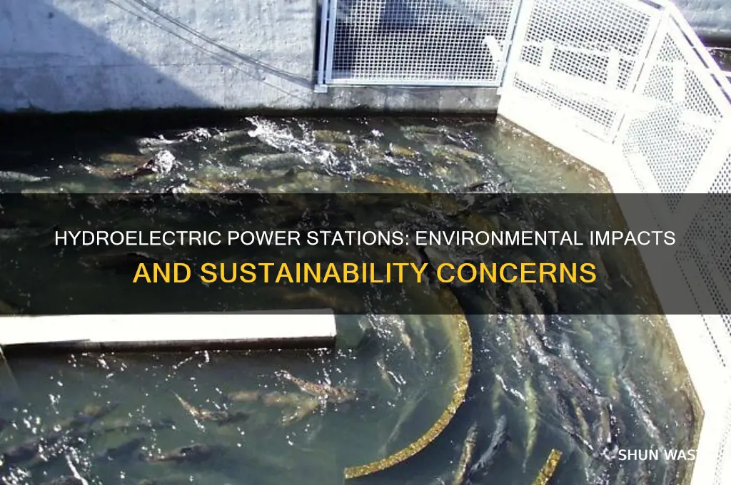 how does hydroelectric power station affect the environment
