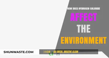 Hydrogen Chloride's Environmental Impact: Pollution, Ecosystems, and Health Risks